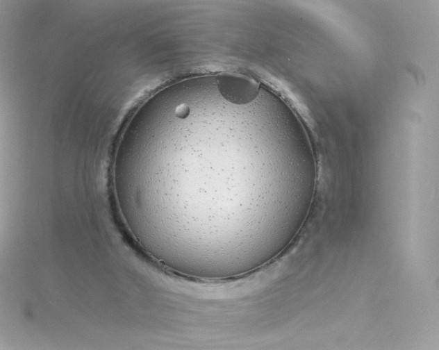 X0000115690010200911251823