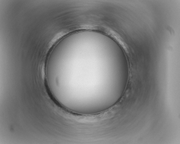 X0000115690011200911251822