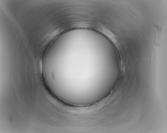 X0000115690013200911251822