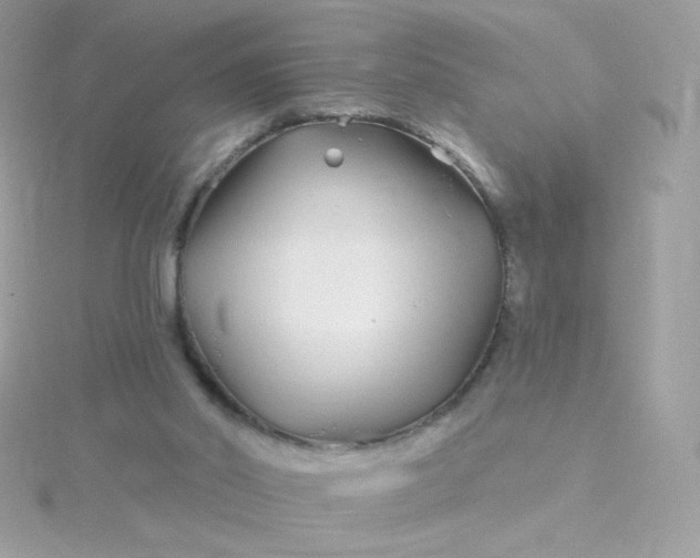 X0000115690014200911251822