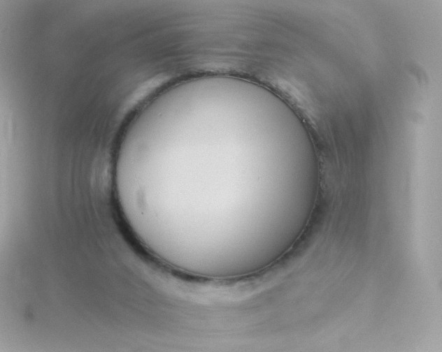 X0000115690016200911251822