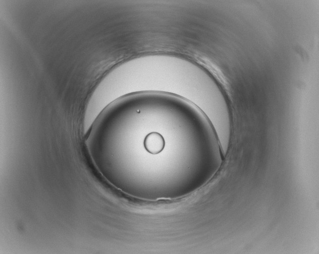 X0000115690017200911251822