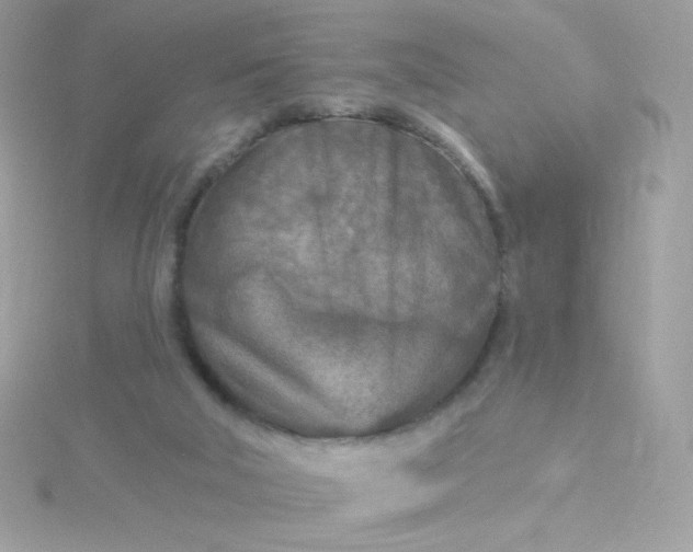 X0000115690018200911251822