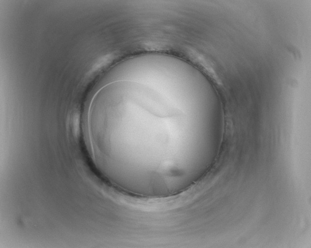 X0000115690019200911251822