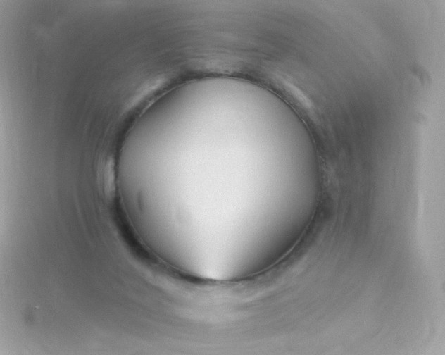 X0000115690020200911251822