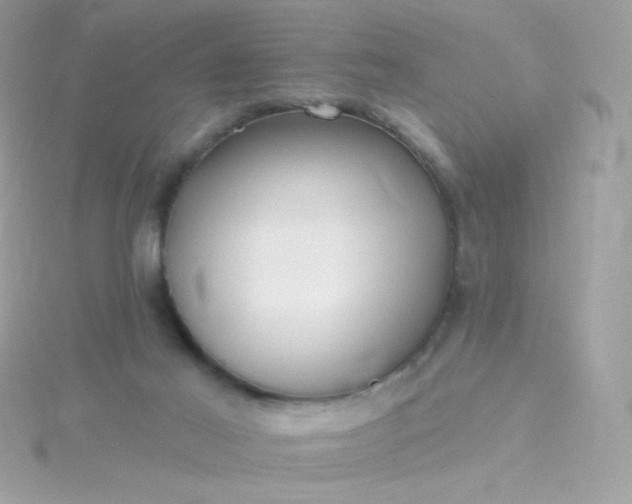 X0000115690021200911251822