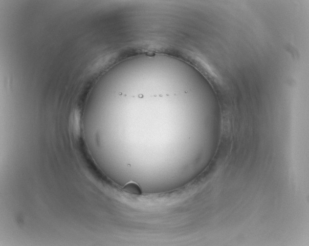 X0000115690022200911251822