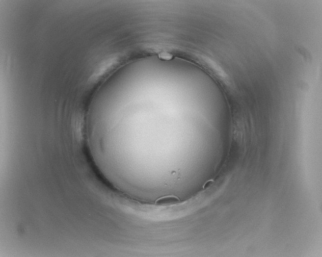 X0000115690023200911251822