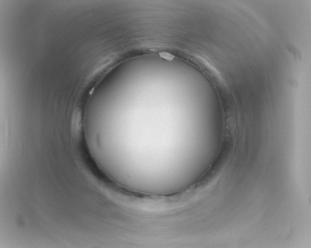 X0000115690024200911251822