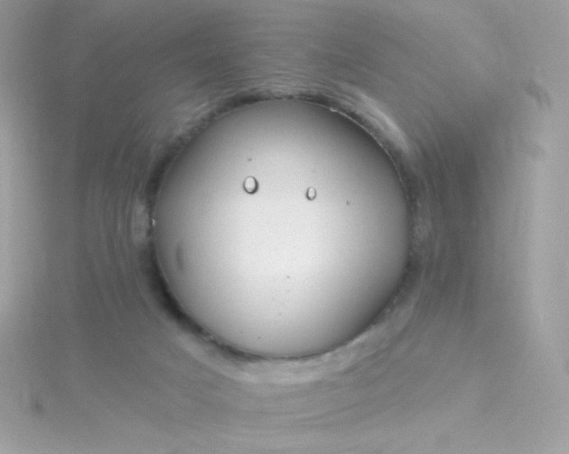 X0000115690025200911251822