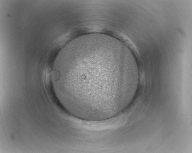 X0000115690026200911251822