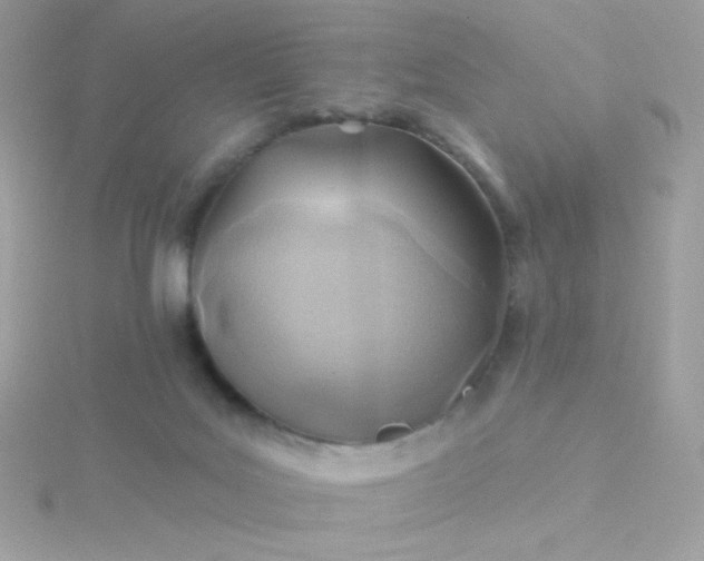 X0000115690027200911251822