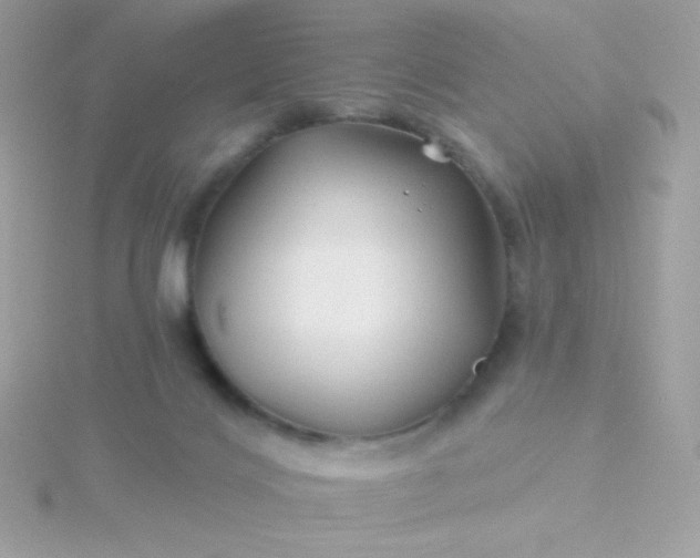 X0000115690028200911251822