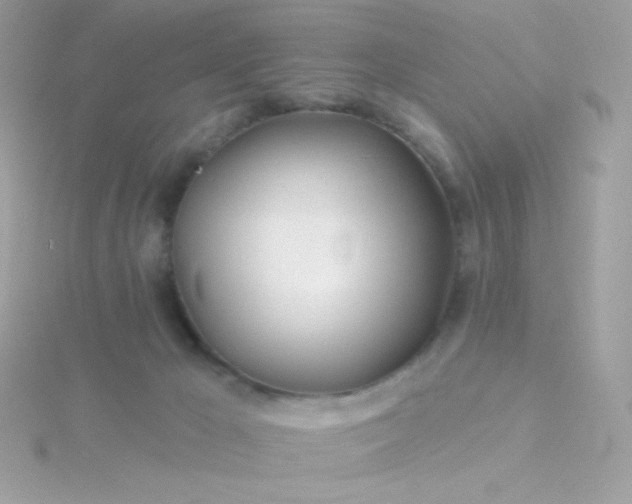 X0000115690029200911251822