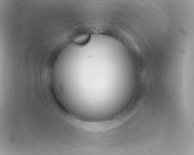 X0000115690030200911251822