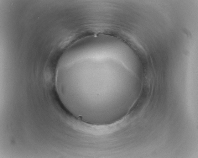 X0000115690031200911251822