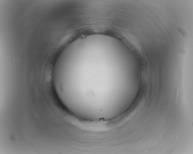 X0000115690032200911251822