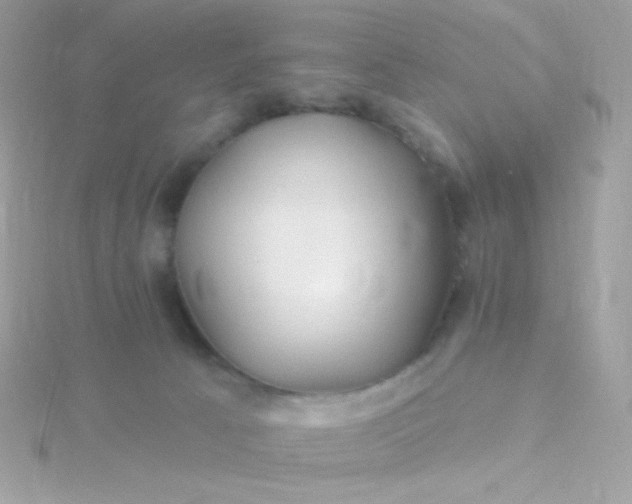 X0000115690033200911251822