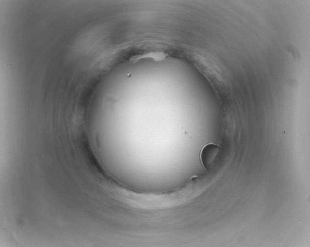 X0000115690034200911251822