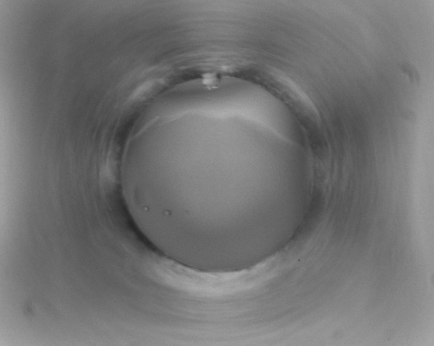 X0000115690035200911251822