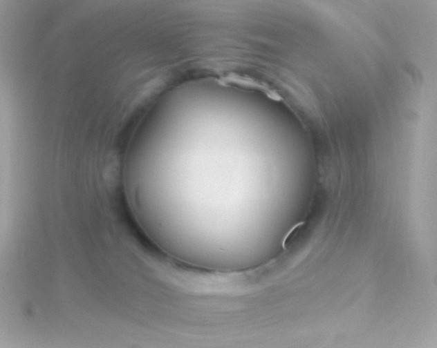 X0000115690036200911251822