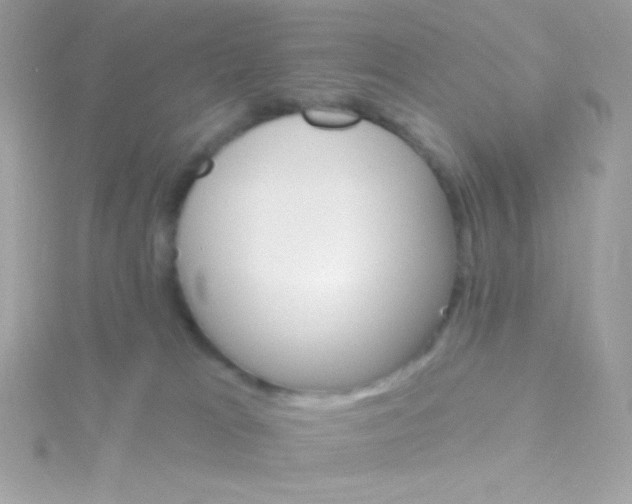 X0000115690037200911251822