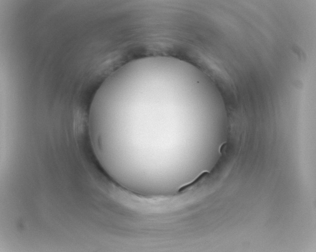 X0000115690038200911251822