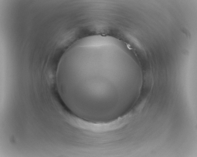 X0000115690039200911251822