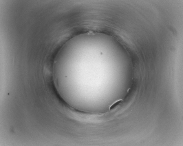 X0000115690040200911251822