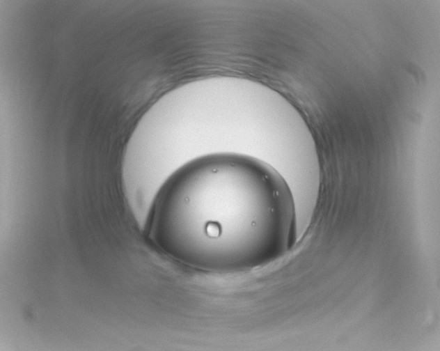 X0000115690041200911251822