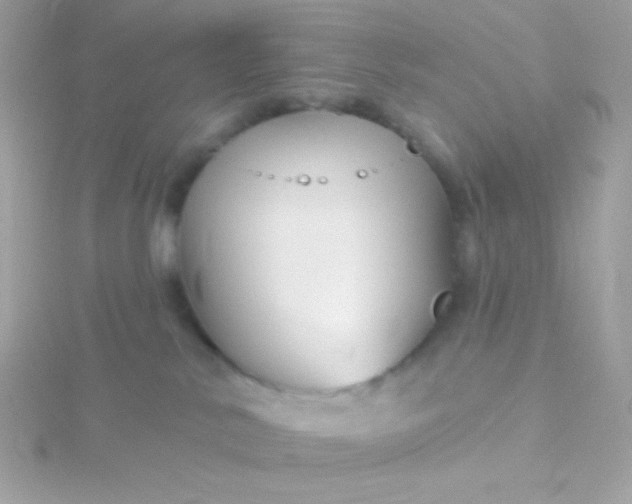 X0000115690042200911251822