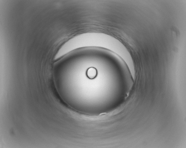 X0000115690043200911251822