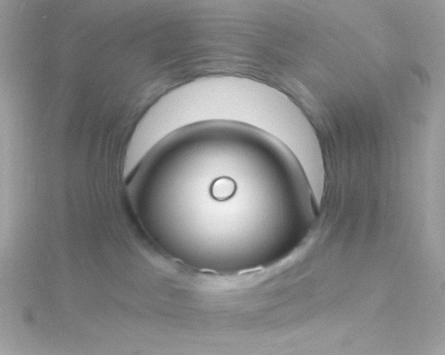 X0000115690045200911251822