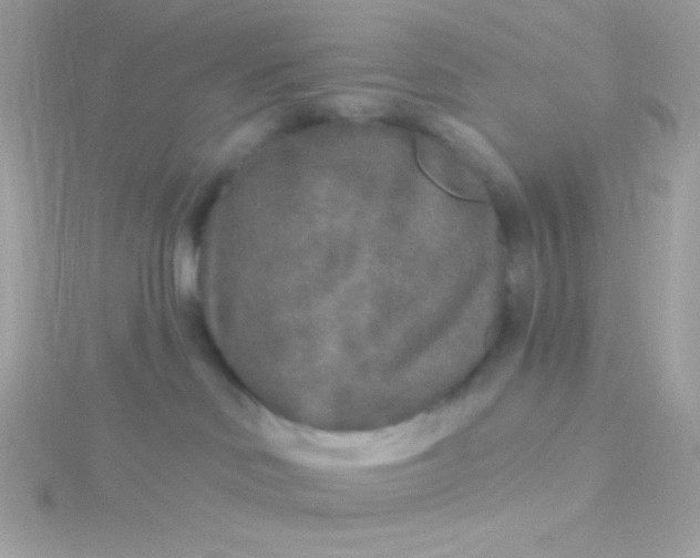 X0000115690046200911251822