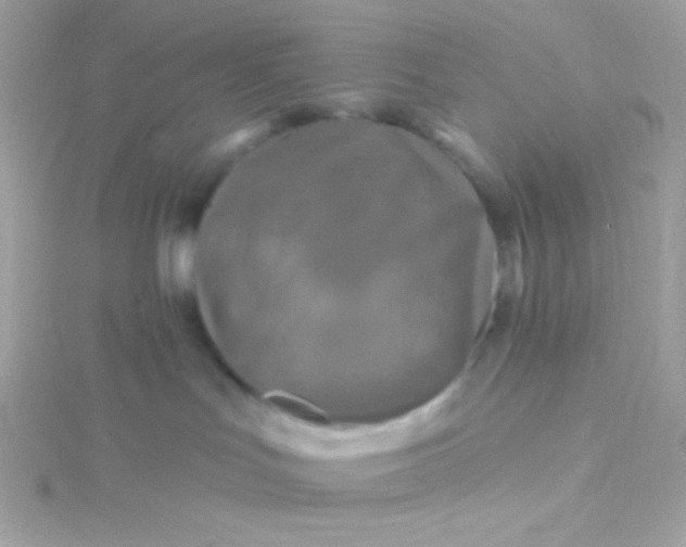 X0000115690047200911251822