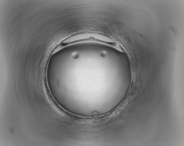 X0000115690049200911251821