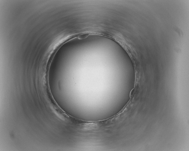 X0000115690050200911251821