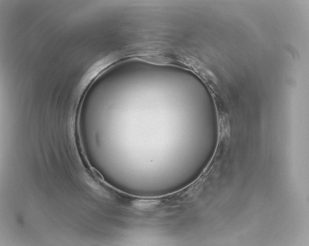 X0000115690051200911251821