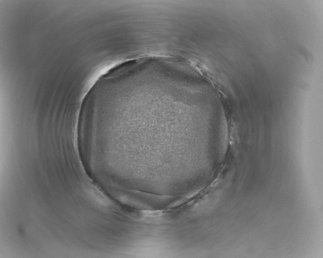 X0000115690052200911251821