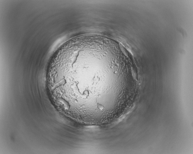 X0000115690053200911251821