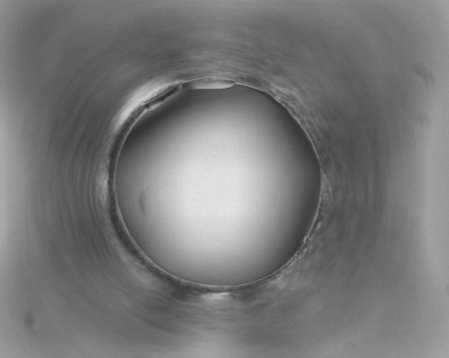 X0000115690054200911251821