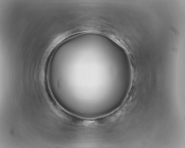 X0000115690055200911251821