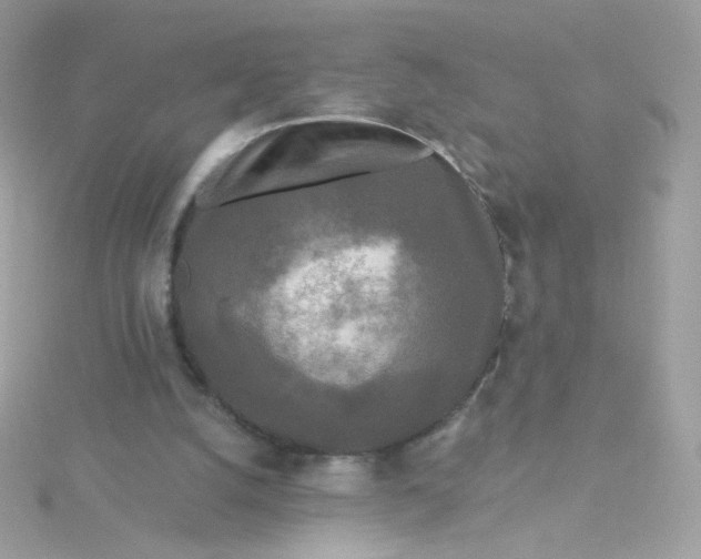 X0000115690056200911251821