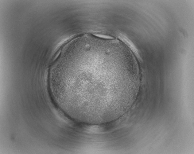 X0000115690058200911251822