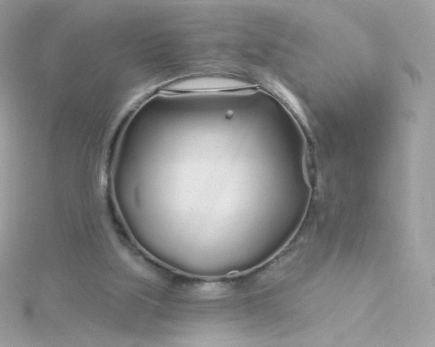 X0000115690059200911251822