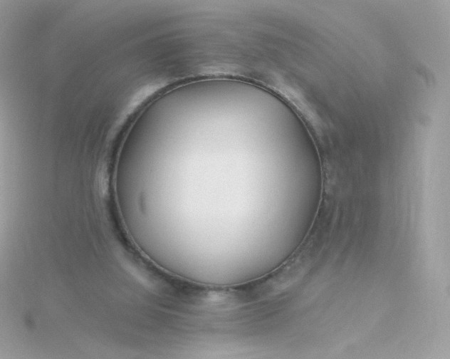 X0000115690060200911251822