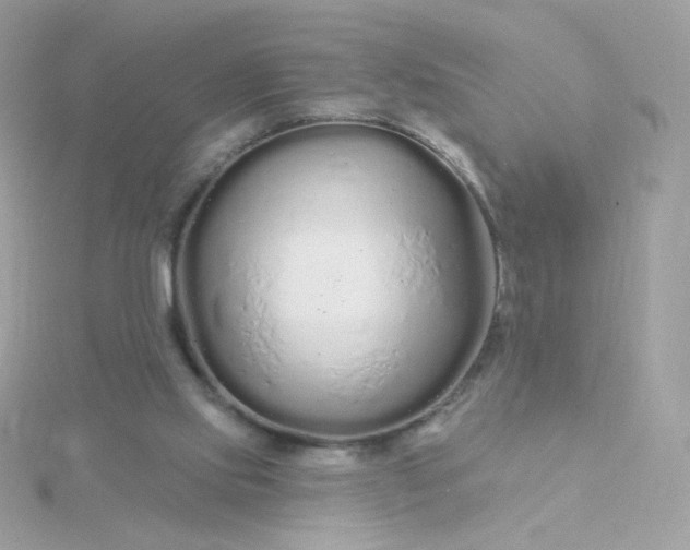 X0000115690061200911251822