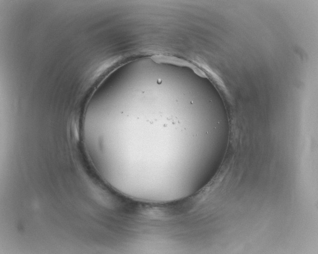 X0000115690062200911251822