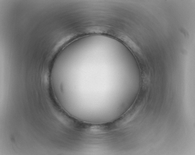 X0000115690064200911251822