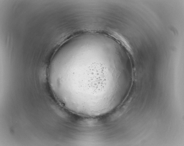 X0000115690065200911251822